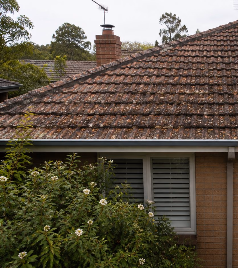 Faded tiled roof before restoration and painting